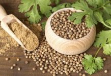 10 beneficii medicinale pe care le obtineti de la semintele de coriandru
