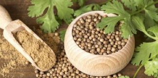 10 beneficii medicinale pe care le obtineti de la semintele de coriandru