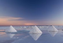 Art Wolfe: creativitate, natura si fericire prin prisma obiectivului