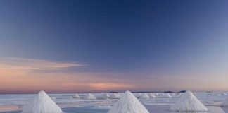 Art Wolfe: creativitate, natura si fericire prin prisma obiectivului