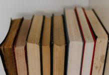 Natura in literatura moderna si contemporana