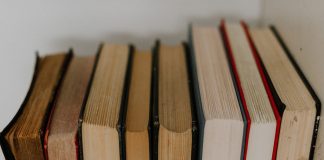 Natura in literatura moderna si contemporana